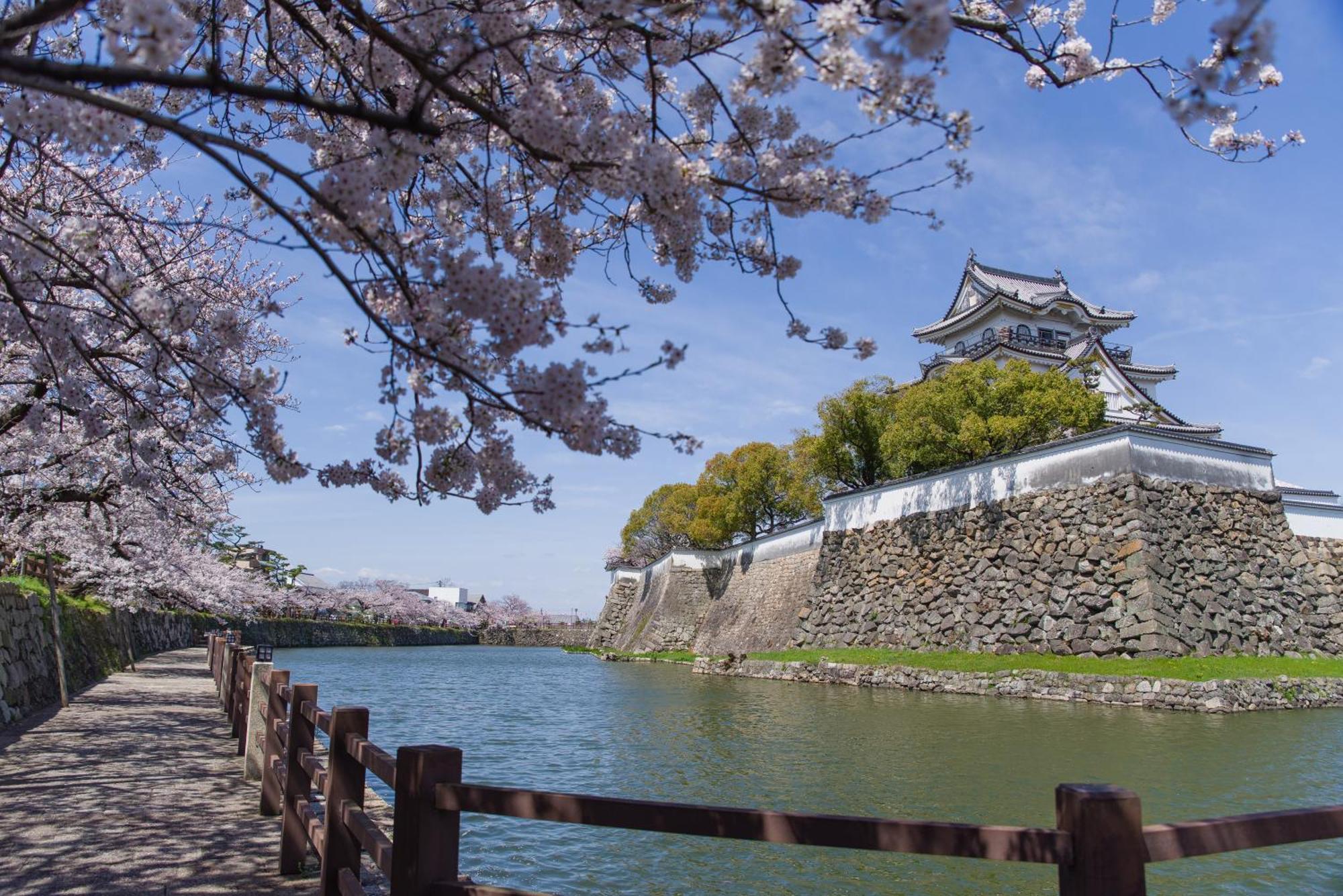 Апартаменти Namba Shinsaibashi 10 Mins Osaka Castle　East Екстер'єр фото