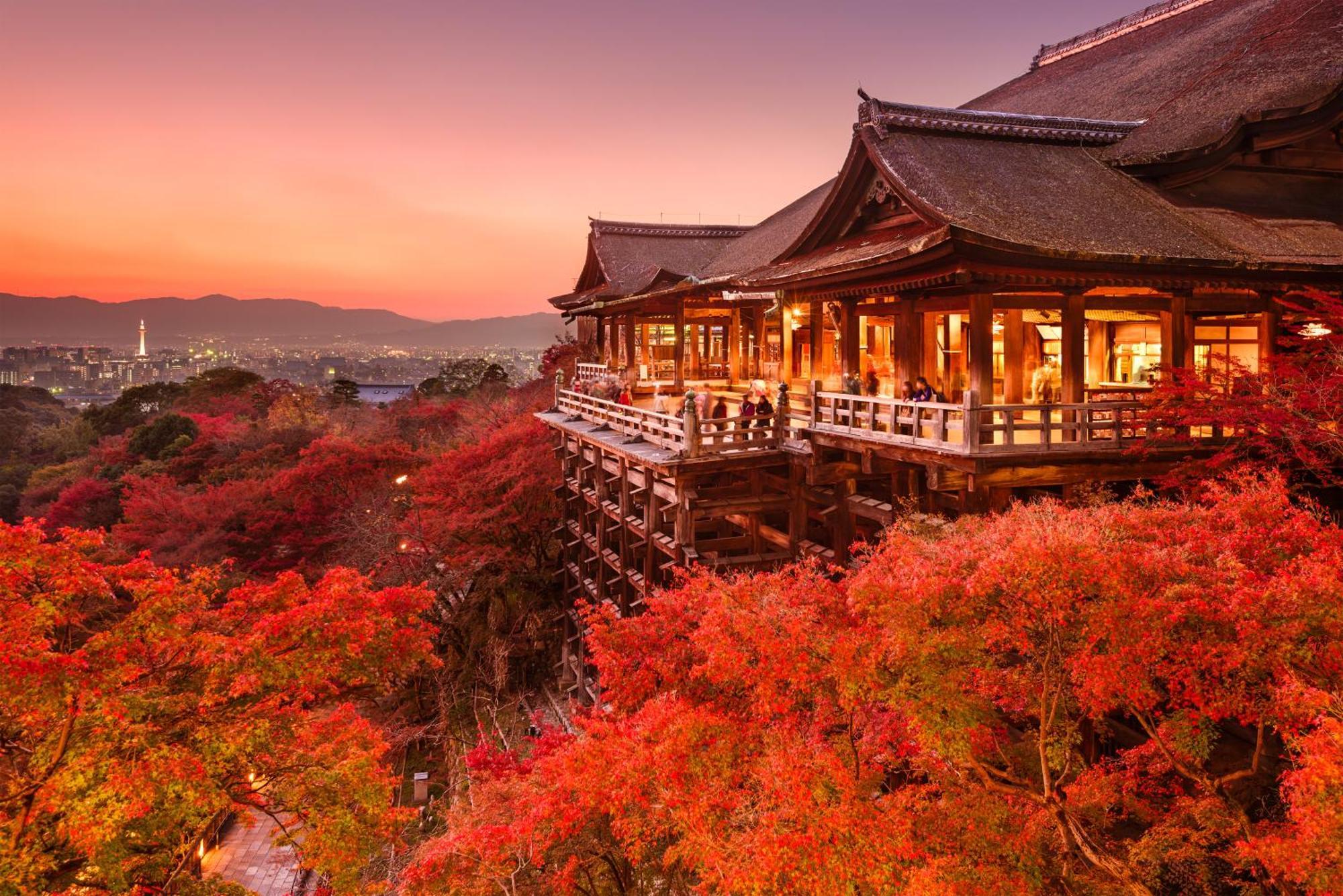 Апартаменти Namba Shinsaibashi 10 Mins Osaka Castle　East Екстер'єр фото